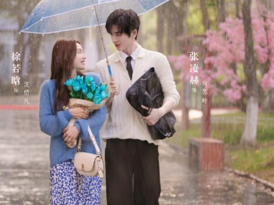 爱你 全28集4k 张凌赫 徐若晗