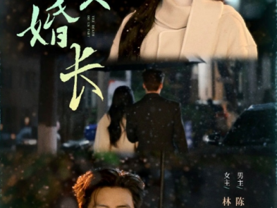 何连飞&仵浩瑄《婚长地久》 清冷集团掌权者VS疏离淡漠自强美人，商业联姻，先婚后爱，极致拉扯!他曾只求相敬如宾，最后却偏执地想要她的整颗心