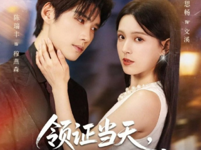 陈瑞丰&方思畅《领证当天，捡了个老公回家》跆拳道女教练VS温暖深情霸总，一见钟情，蓄谋已久，先婚后爱小甜剧