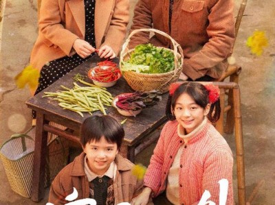 爆火好剧 家里家外（79集）王道铁&孙艺燃