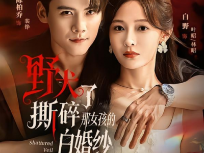陈刚&白野《 野犬撕碎了那女孩的白婚纱》 玩世不恭恋爱脑小叔VS假乖巧心机小白花，养成系伪叔侄，极限拉扯，即使她蓄意接近，只是为了复仇，而他巴不得自己被利用