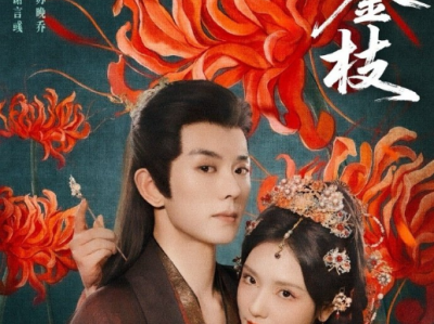 蓝博&王云云《 折金枝》重生钓系洗脚婢VS自私阴狠王爷，我以身入局，为前世的自己和孩子复仇，他从厌恶到被吸引，腹黑王爷为爱求爱洗脚婢