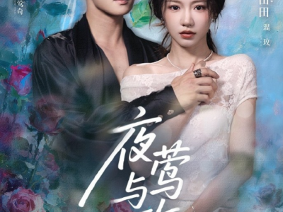 陈名豪&何田田《夜莺与玫瑰》病娇狼狗总裁VS狠辣钓系小玫瑰，双强拉扯，阴湿占有欲拉满，偏执卑微小狗，直球小太阳满心奔赴，上一世遗憾这世终得圆满