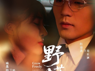 杜培源&喻嘉琳《野芳菲》万年冰山霸总VS一腔热血小太阳，在相互试探中找到势均力敌的爱情