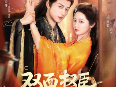 陈十七&岳雨婷《双面权臣暗恋我》狠厉果断权臣VS清醒相世家小姐，大女主权谋剧！以身为棋，互为利刃，双向救赎，我不是你的软肋,我是你最锋利的刀