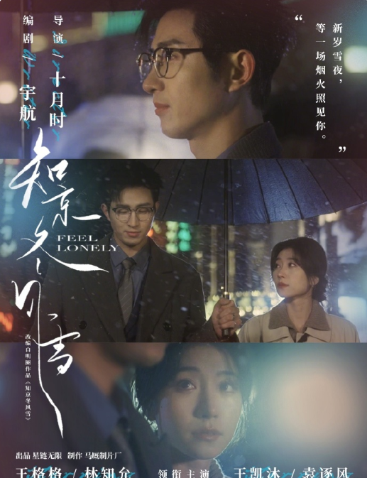1080P高清收藏版！王凯沐&王格格《知京冬风雪》清冷孤寂翻译官VS矜贵引导型大律师，暗恋成真，治愈救赎 ，雪夜重逢，情愫渐生，他帮她解决家族危机，她慢慢卸下防备，这场细水长流的感情最终演变为双向奔赴