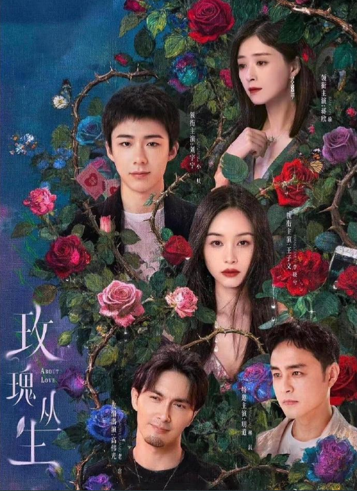 玫瑰丛生  26集全  刘宇宁  王子文