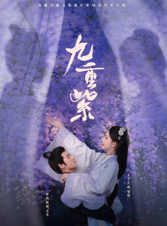 九重紫 4K 全集资源